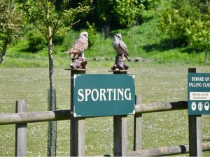 Have-a-Go lesson - 25 Clays & 25 Cartridges with an Instructor